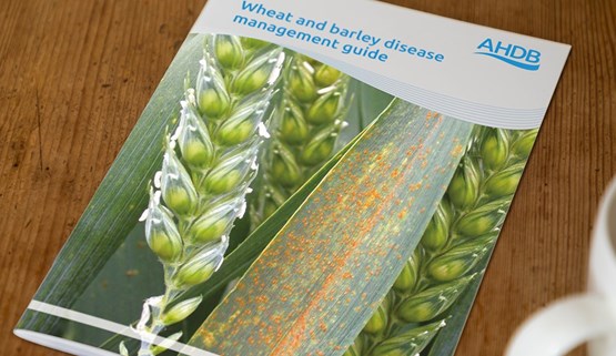 Cereal disease management